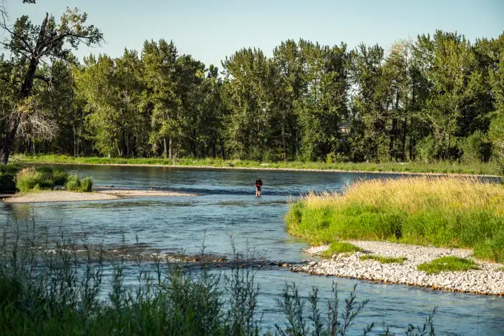 Queensland community in Calgary